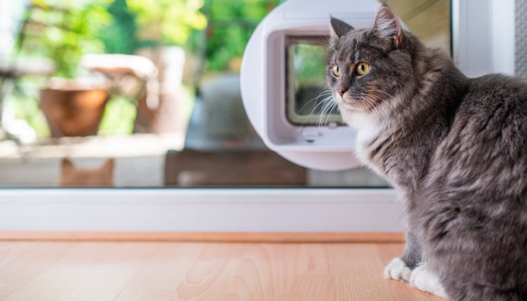 Comment choisir une chatière isolante ? Nos conseils