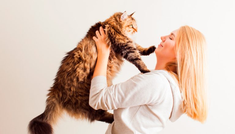 Les techniques de communication animale : une exploration des méthodes et des approches