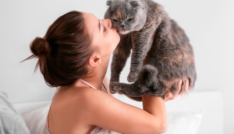 Test et avis de la chatière Cat Mate