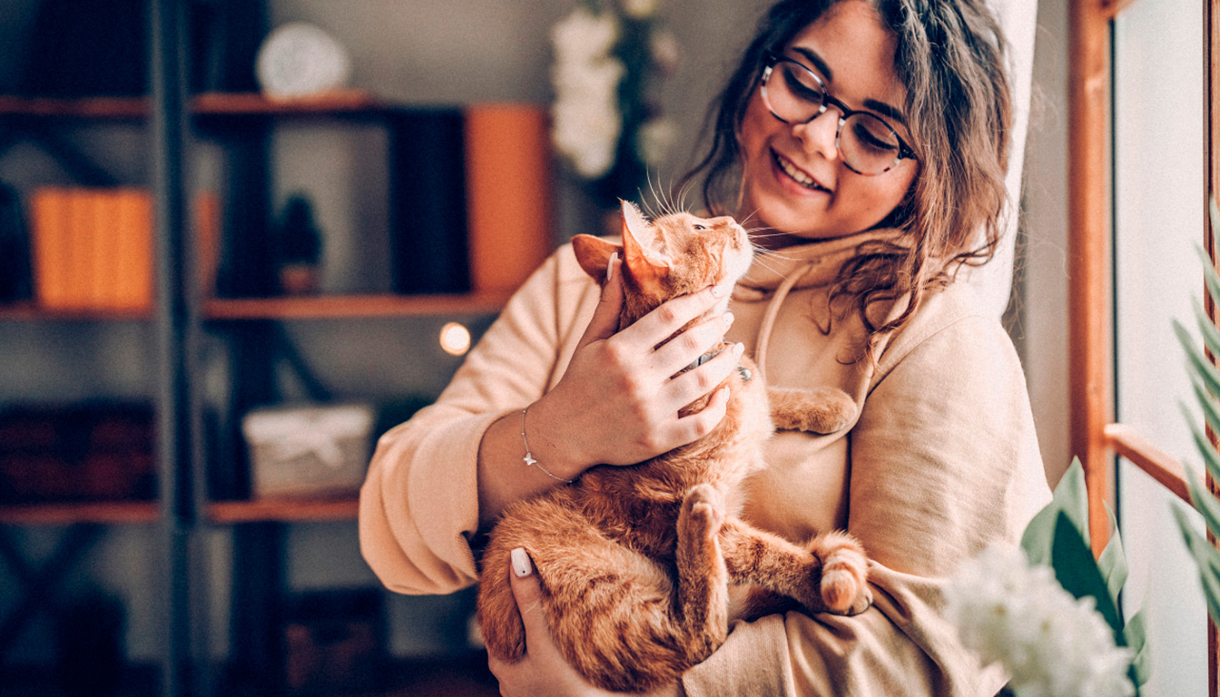 découvrez une checklist complète pour sécuriser efficacement un balcon et protéger votre chat des dangers. astuces pratiques et conseils indispensables pour un espace sûr.